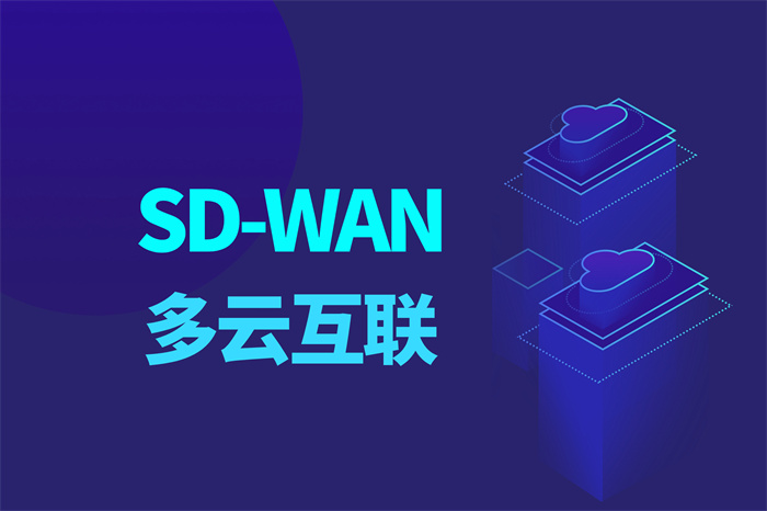 sd-wan是什么意思？是什么技术缩略图